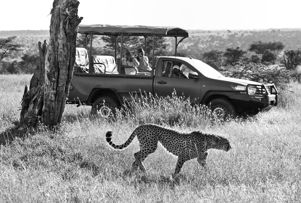 El Karama Eco Lodge